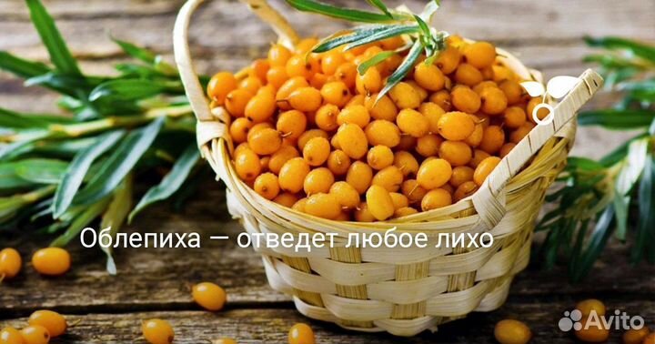 Облепиха ягоды свежемороженая