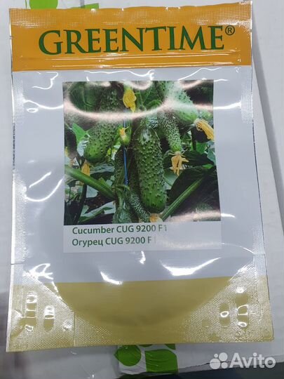 Семена огурец Хорс 250с (9200) Гринтайм