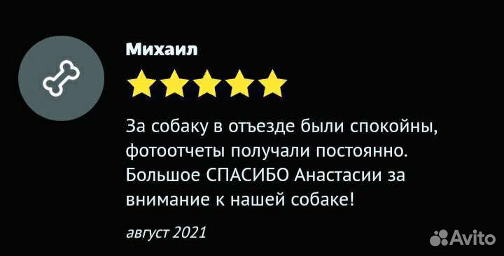 Передержка собак