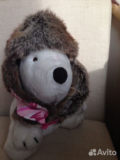 Barts новые шапочки 52+