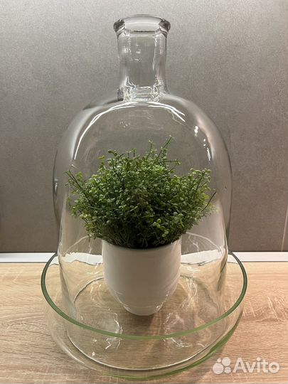 Флорариум 42 см/26см