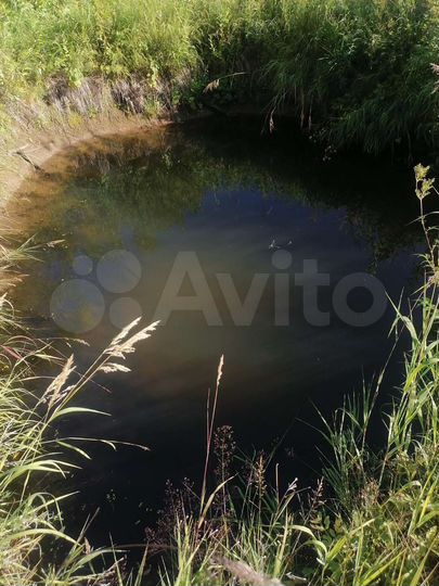 Участок 20 сот. (СНТ, ДНП)