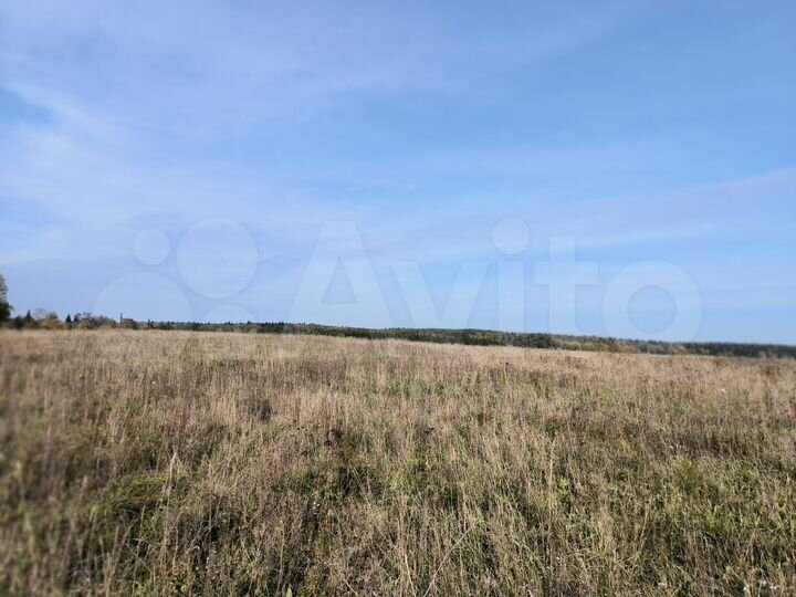 Участок 140 га (СНТ, ДНП)