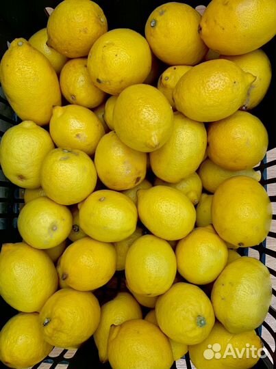 Лимонный фреш/ свежевыжатый лимонный сок/сок лимон