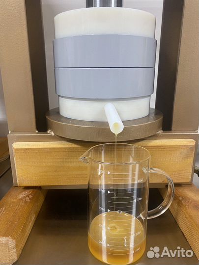 Масло штирийской тыквы