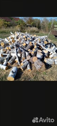 Дрова березовые колотые