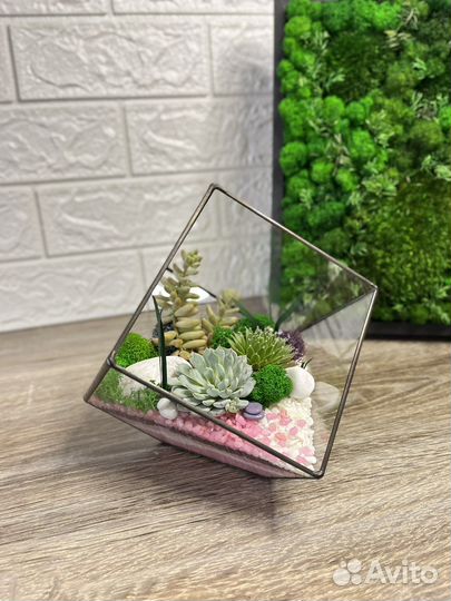 Флорариум с суккулентами