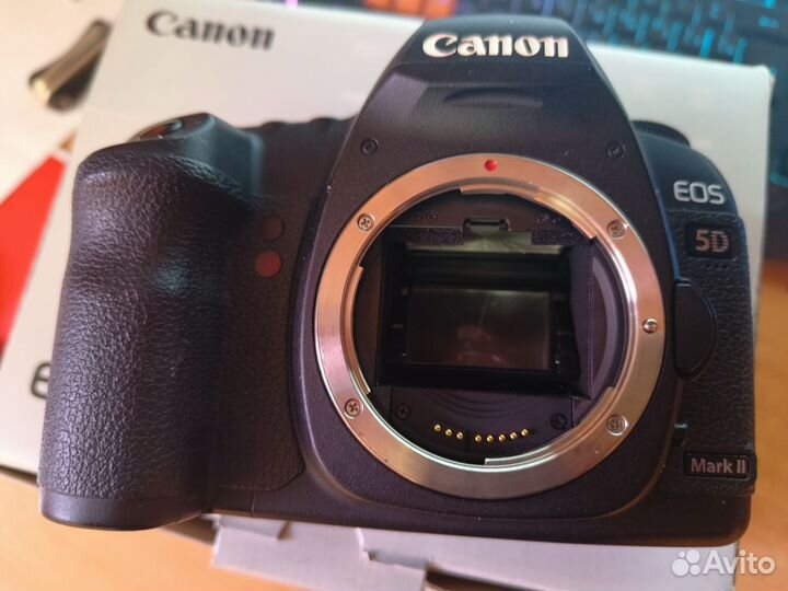 Canon 5D mark II Canon EF 50mm f1.4 идеал