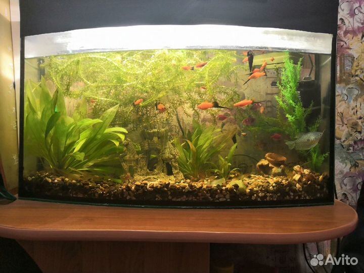 Аквариум Большой со столом и фильтром