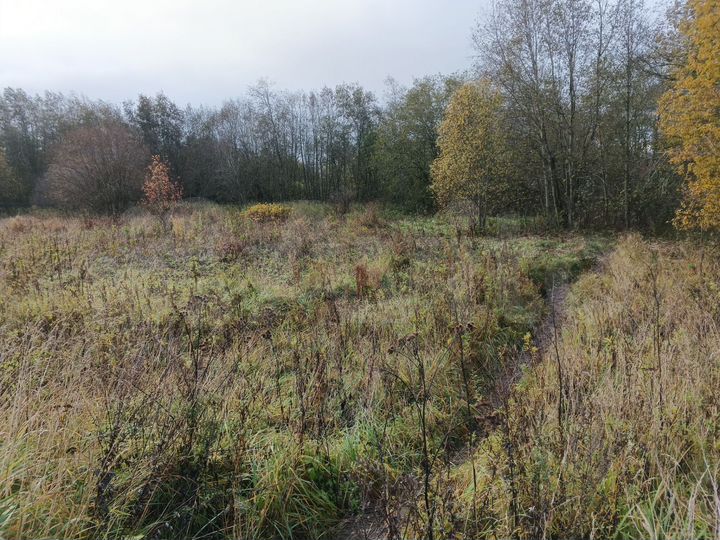 Участок 9 сот. (ИЖС)