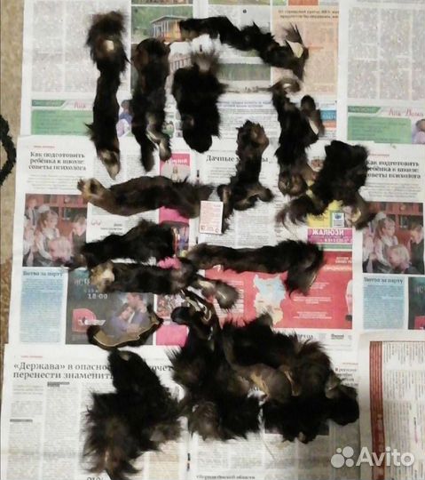 Кусочки меха чернобурки