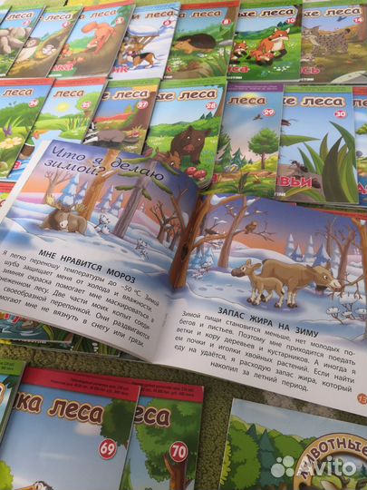 Книги журналы с Фёдором и Феклой