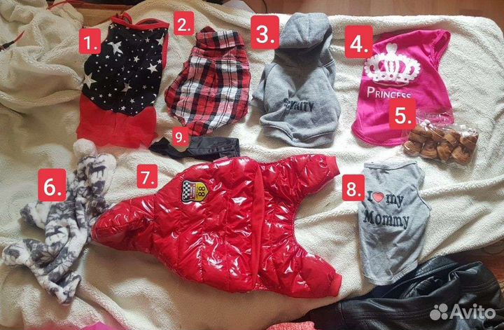 Одежда для маленьких собак