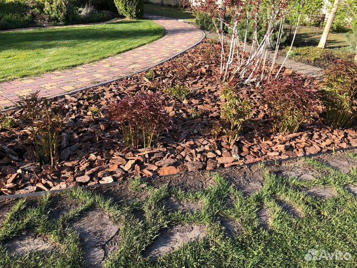 Кора сосны мульча