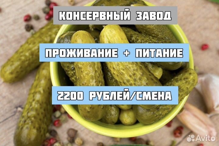 Сортировщик овощей вахтовым методом