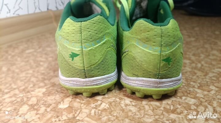 Сороконожки джома, р.37