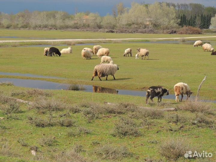 Экскурсия — Будва — Путешествие на юг Черногории