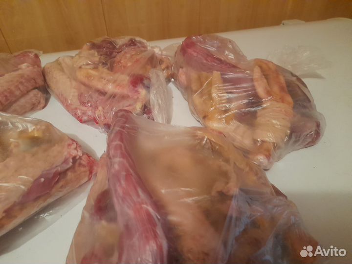 Мясо гуся, утки домашнее Халяль