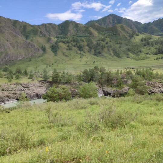 Участок 50 сот. (СНТ, ДНП)