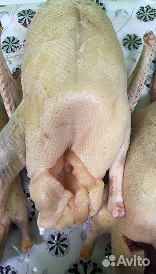 Мясо домашней утки, муларда