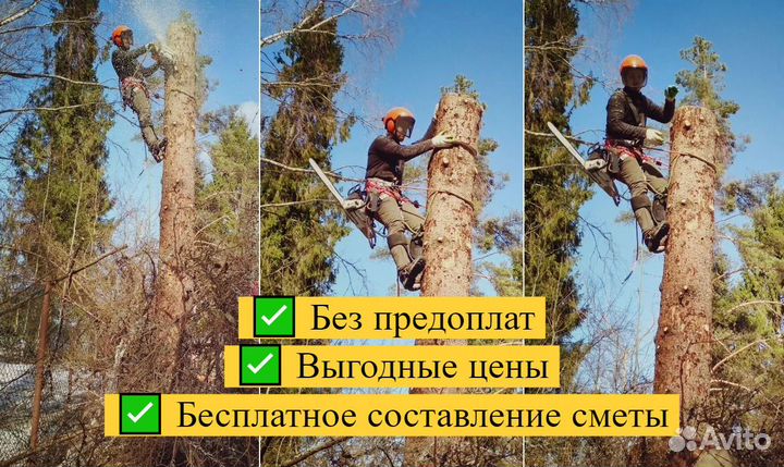 Расчистка участка / Спил деревьев