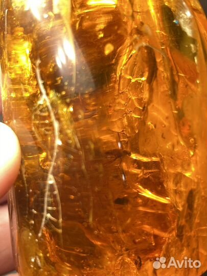 Янтарь с инклюзами