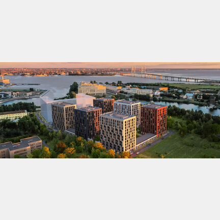 1-к. квартира, 43,5 м², 11/12 эт.