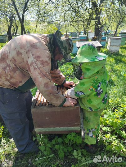 Среднерусские пчелы