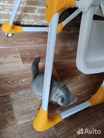 Стул для кормления