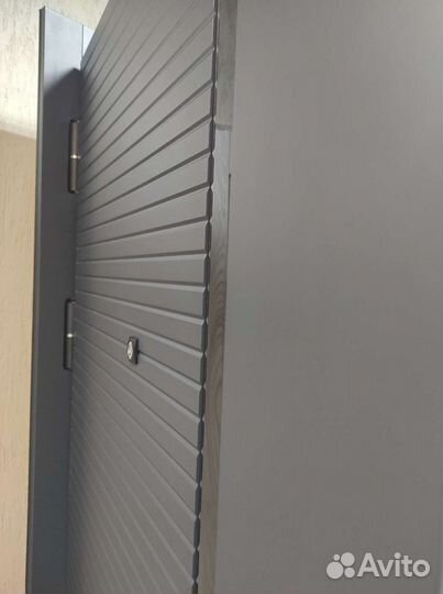 Дверь входная горизонт 110мм