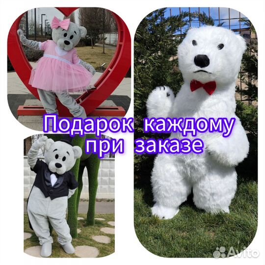 Поздравление мишка тедди, белый мишка