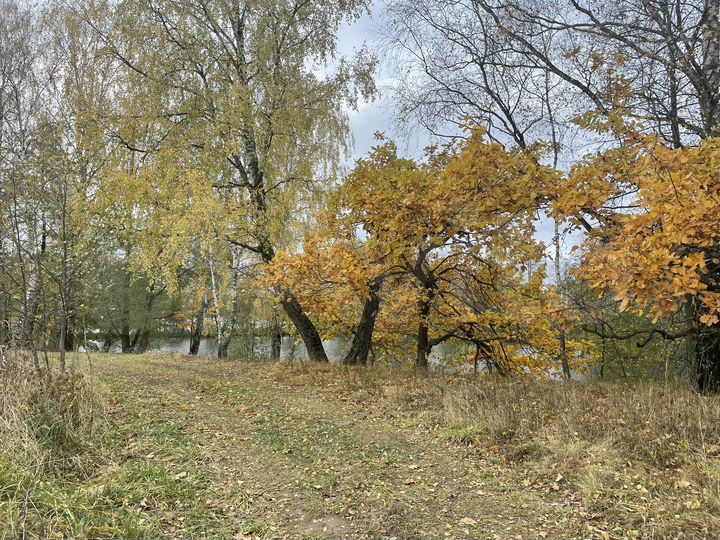 Участок 6 сот. (ИЖС)