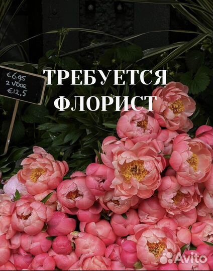Флорист работы без продаж