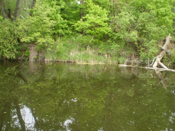 Дом 50 м² на участке 40 сот.