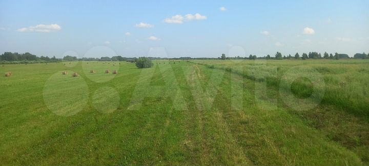 Участок 78 га (СНТ, ДНП)