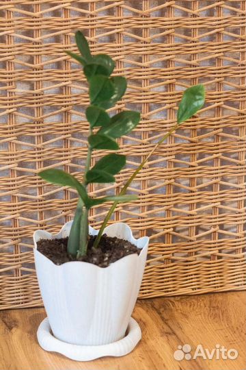 Плетёные декоративные панели