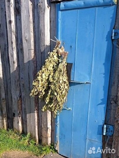 Березовые веники