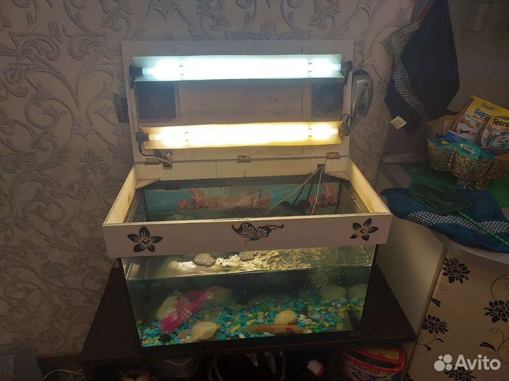 Аквариум