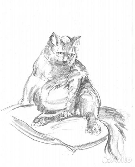 Рисунок кошки А4