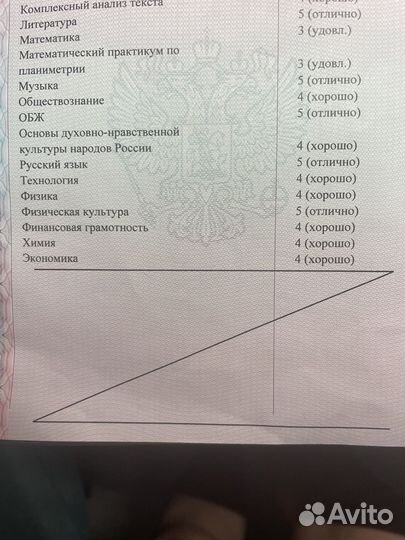 Репетитор по русскому языку