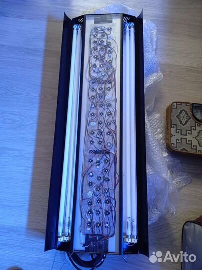 Для морского аквариума