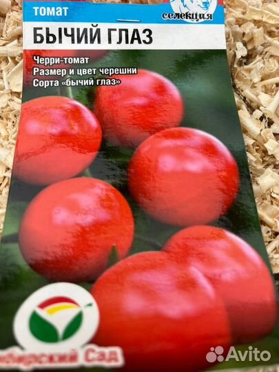 Рассада помидор