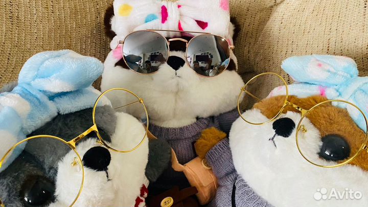 Собачка с очками lalafanfan