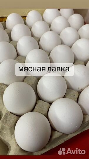 Домашние куриные яйца
