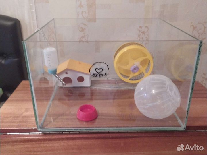 Аквариум для хомяка,с аксессуарами