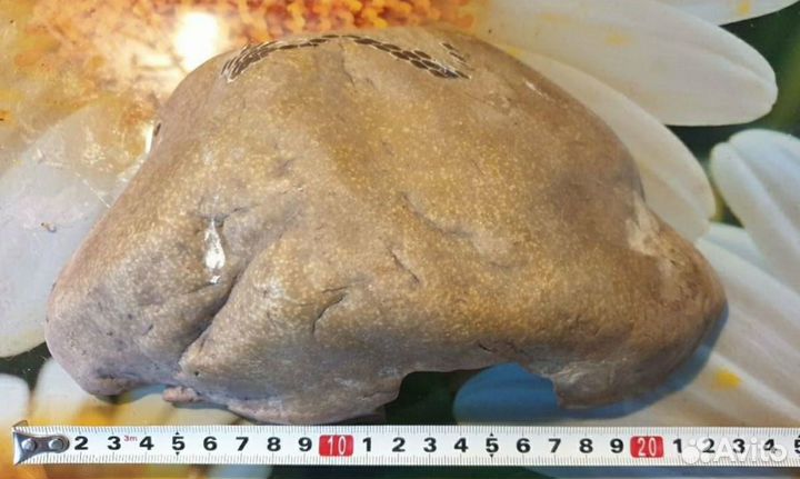 Укрытия для террариумных животных