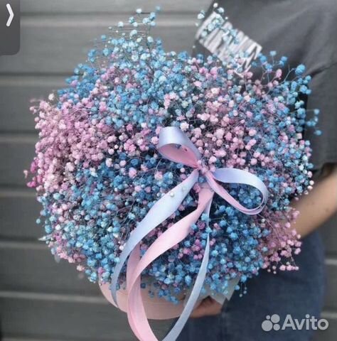 Крашенная Гипсофила