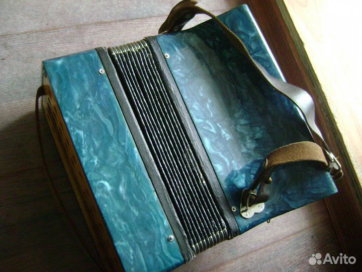 Аккордион белорусь
