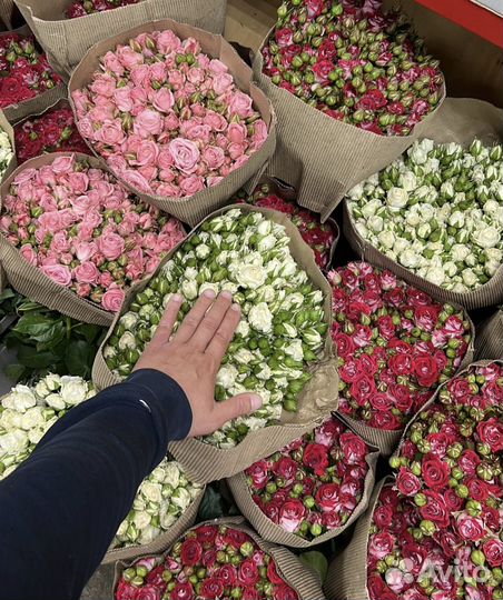 Цветы оптом для цветочных магазинов