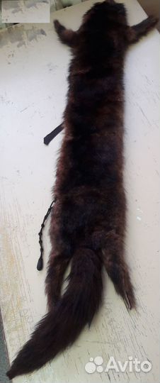 Лисья шкура